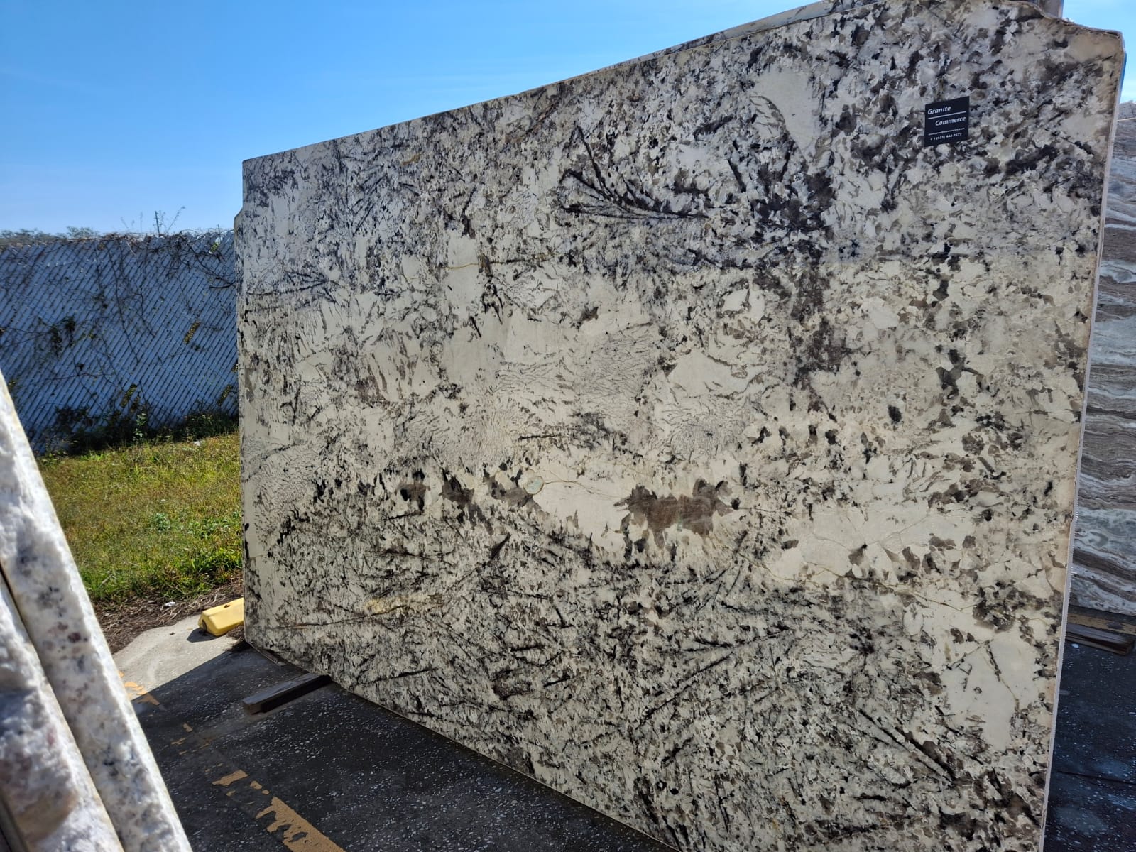 Alaska White slab sample